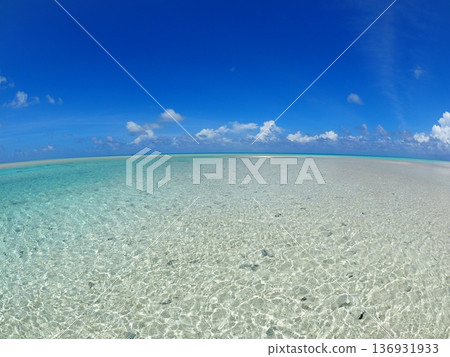 Tahiti's Fakarava: Shallow Lagoon and Powder Snow White Sand Beach | Tropical Landscape with Crystal Clear Sea Tahiti's Fakarava: Shallow Lagoon and Powder Snow White Sand Beach | Tropical Landscape with Crystal Clear Sea 136931933