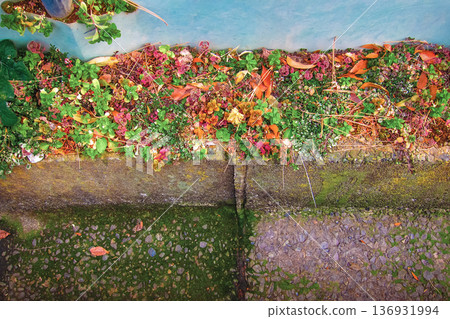 Roadside grass, fallen leaves and moss-covered concrete background material, overhead view 136931994