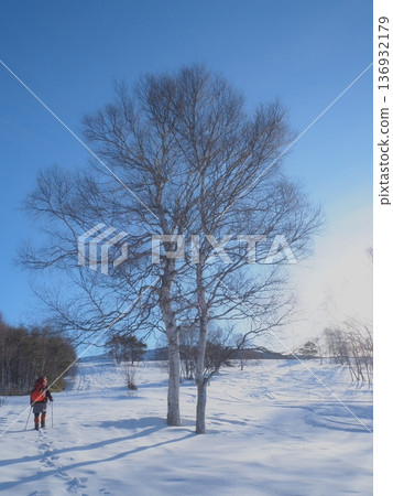 Hikers walking through a snowy field in February (afli20260220075321) Hikers walking through a snowy field in February (afli20260220075321) 136932179