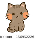 A sitting tabby cat 136932226