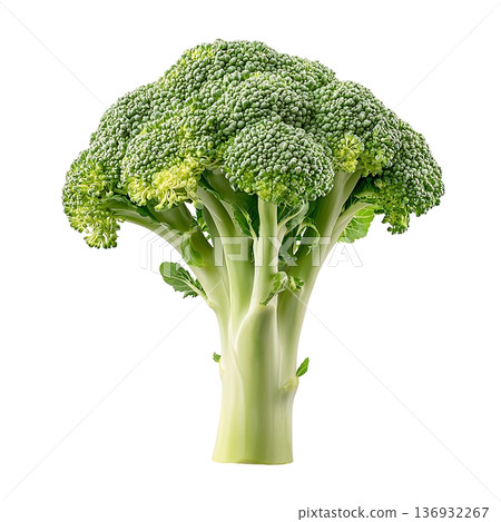 Fresh Green Broccoli Vegetable Isolated on White Background for Healthy Eating Concept Fresh Green Broccoli Vegetable Isolated on White Background for Healthy Eating Concept 136932267