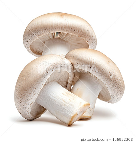 Fresh White Mushrooms Stacked Together on a Clean White Background for Culinary Use Fresh White Mushrooms Stacked Together on a Clean White Background for Culinary Use 136932308