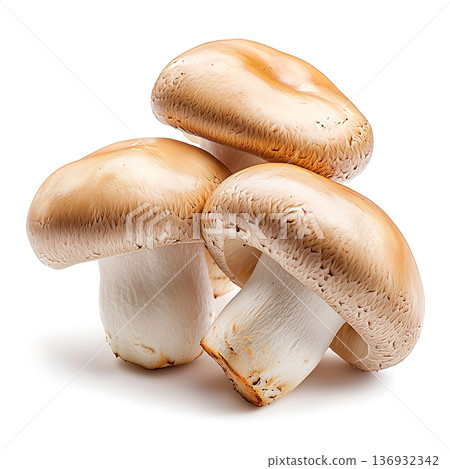 Fresh and Delicious White Mushrooms Perfect for Cooking and Garnishing Dishes Fresh and Delicious White Mushrooms Perfect for Cooking and Garnishing Dishes 136932342