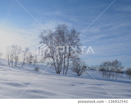 晨曦與雪地(afli20260220075415) 晨曦與雪地(afli20260220075415) 136932542