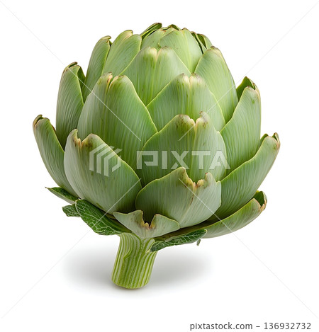 Fresh Green Artichoke on White Background with Textured Leaves and Stem Detail 136932732