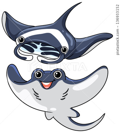 Two Cute Cartoon Manta Rays Swimming on a White Background 136933152
