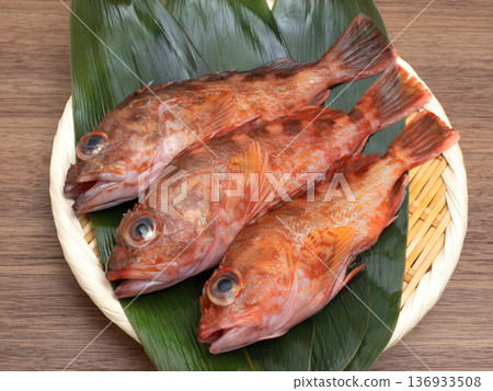 Fresh rockfish prepared for cooking 136933508