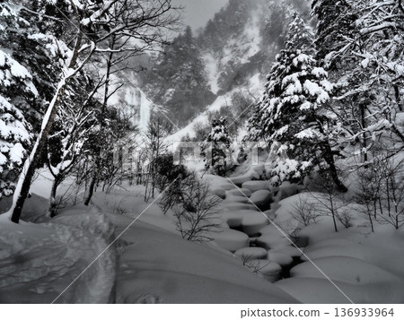 平湯瀑布靜謐的雪景 平湯瀑布靜謐的雪景 136933964
