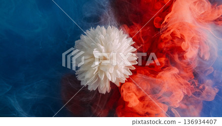 Flower ink. Color mist mix. Red white blue cloud splash nature water glitter plant vapor acrylic bright texture spill on abstract blur background. 136934407