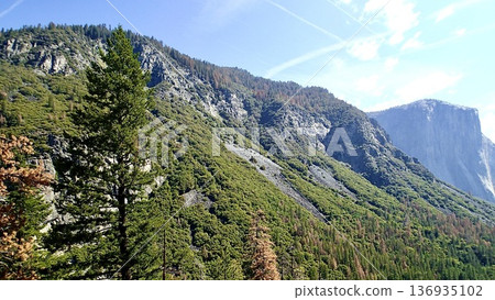 View from Tunnel View in Yosemite National Park, California, USA 136935102