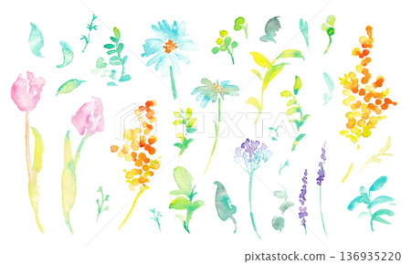 Watercolor painting. Vector spring botanical illustration with watercolor touch. Vector frame set of spring flowers and plants. Watercolor painting. Vector spring botanical illustration with watercolor touch. Vector frame set of spring flowers and plants. 136935220