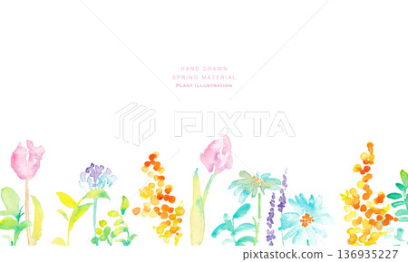 Watercolor painting. Vector spring botanical illustration with watercolor touch. Vector frame set of spring flowers and plants. Watercolor painting. Vector spring botanical illustration with watercolor touch. Vector frame set of spring flowers and plants. 136935227