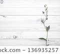 天然白板和美麗的花朵 136935257