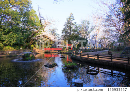 Scenery of Benten Pond in Yono Park 136935337