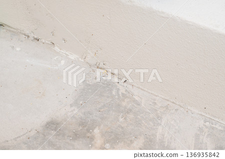 Ant trail concrete floor wall corner house pest dirty surface insect control small ant home interior masonry crack housekeeping Ant trail concrete floor wall corner house pest dirty surface insect 136935842