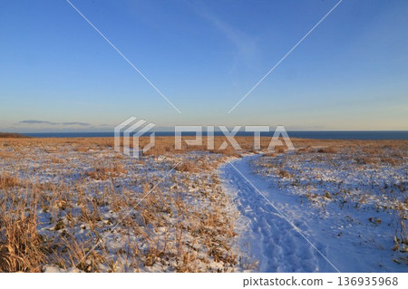 Snow-covered winter fields Snow-covered winter fields 136935968