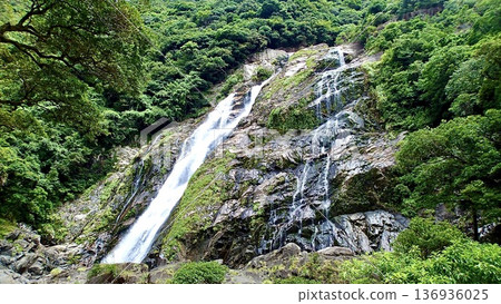 Okawa Falls on Yakushima Island in Kagoshima Prefecture Okawa Falls on Yakushima Island in Kagoshima Prefecture 136936025