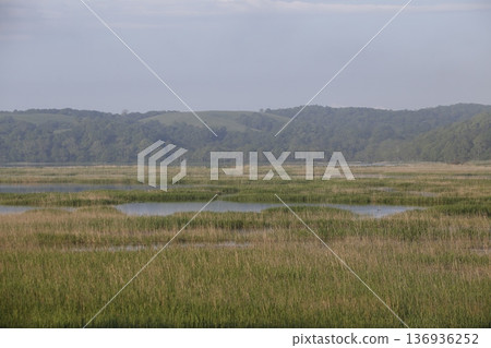 北海道的野外 136936252