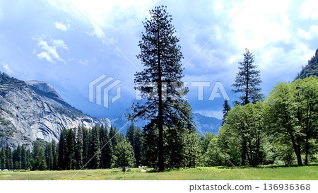 Yosemite National Park landscape in America 136936368