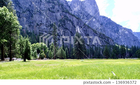 Yosemite National Park landscape in America 136936372