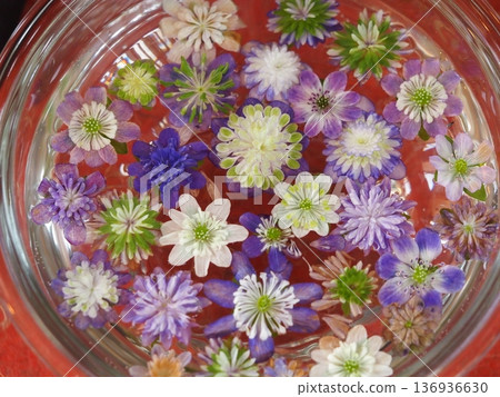 雪花蓮漂浮的花朵 雪花蓮漂浮的花朵 136936630