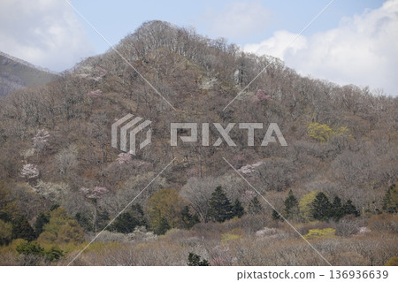 Mountain of spring 136936639