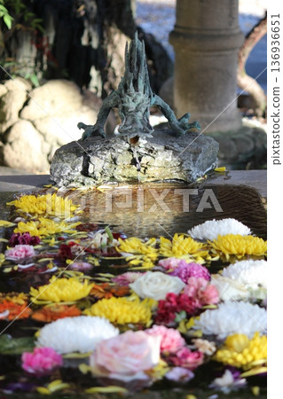 Purifying water. Dragon god 136936651