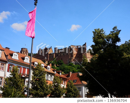 Germany Heidelberg Germany Heidelberg 136936704