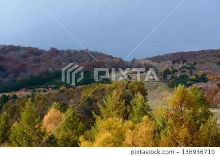 那須平成森林 2025-11-2 #94 136936710