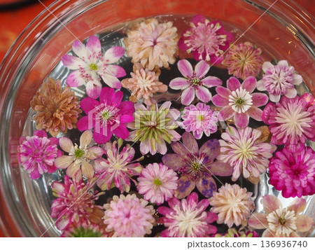 Pink flowers, floating snowdrop flowers Pink flowers, floating snowdrop flowers 136936740