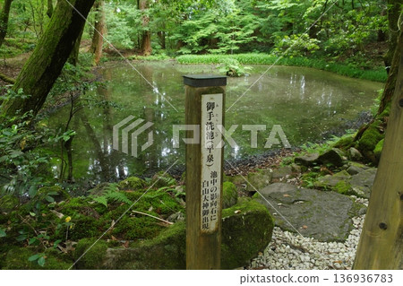 平泉寺白山神社御手洗池 平泉寺白山神社御手洗池 136936783