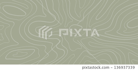 Abstract Green Topographic Map Line Art Drawing Background .Vector Illustration 136937339