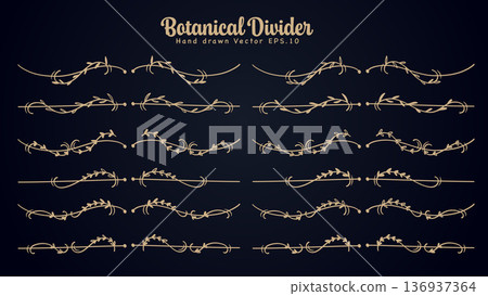 Gold vine botanical line divider hand drawn for text layout separator decoration 136937364