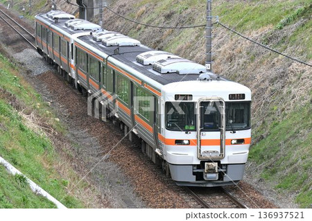 Kiha 25系列P1型列車在高山本線上運行 136937521
