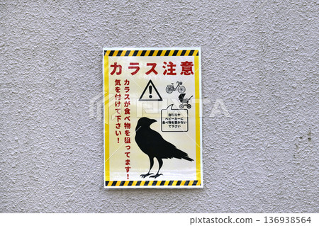 日本橫濱市的城市景觀。小心烏鴉！烏鴉在覓食！請注意！禁止在橫濱市內進食。 136938564