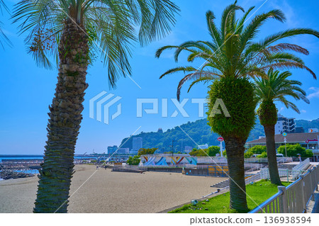 View of the south side from the coast of Atami City, Shizuoka Prefecture (Sun Beach, Atami Castle, resort hotels, etc.) 136938594