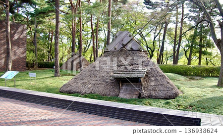 埼玉縣埼玉市大宮公園遺址景色 埼玉縣埼玉市大宮公園遺址景色 136938624