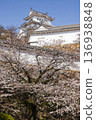 Himeji Castle and cherry blossoms in spring in Himeji City, Hyogo Prefecture Himeji Castle and cherry blossoms in spring in Himeji City, Hyogo Prefecture 136938848