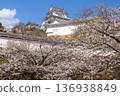 Himeji Castle and cherry blossoms in spring in Himeji City, Hyogo Prefecture Himeji Castle and cherry blossoms in spring in Himeji City, Hyogo Prefecture 136938849