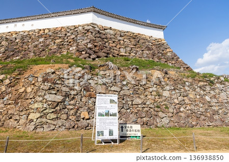 Himeji Castle in spring in Himeji City, Hyogo Prefecture 136938850