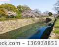 Himeji Castle and cherry blossoms in spring in Himeji City, Hyogo Prefecture Himeji Castle and cherry blossoms in spring in Himeji City, Hyogo Prefecture 136938851