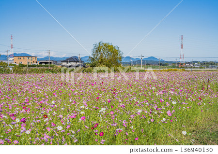從靜岡縣磐田市向笠眺望宇宙田野 從靜岡縣磐田市向笠眺望宇宙田野 136940130
