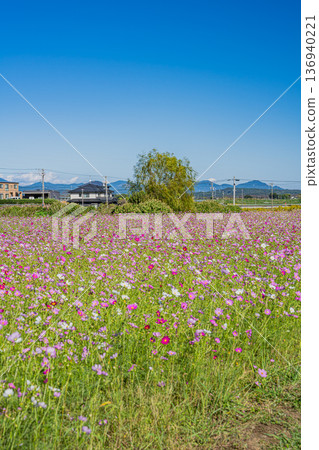 從靜岡縣磐田市向笠眺望宇宙田野 136940221