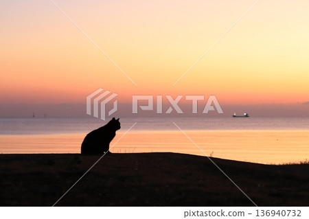晨曦中貓的剪影 136940732