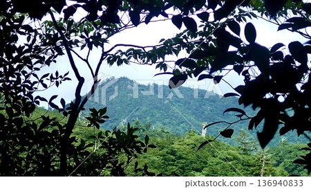 Scenery of the trekking course to Jomon Cedar on Yakushima Island in Kagoshima Prefecture 136940833