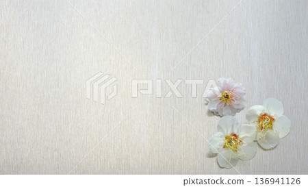 置於鋁板上的白色和紅色梅花——充滿空間感的日式春季元素 置於鋁板上的白色和紅色梅花——充滿空間感的日式春季元素 136941126