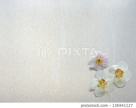 White and red plum blossoms placed on an aluminum plate - Japanese spring materials with space White and red plum blossoms placed on an aluminum plate - Japanese spring materials with space 136941127