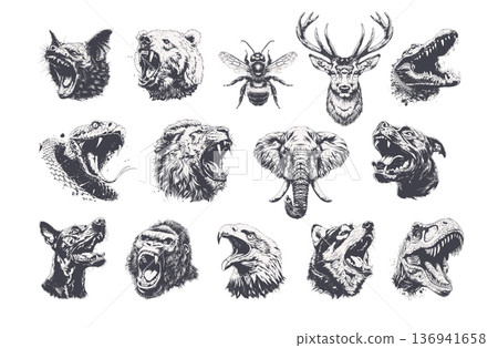 Fierce predator heads bundle, hand drawn engraved style illustrations for apparel and tattoo design. Fierce predator heads bundle, hand drawn engraved style illustrations for apparel and tattoo design. 136941658