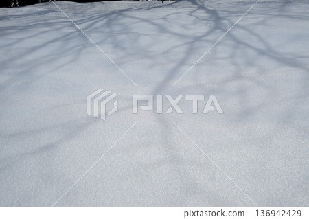 雪域 136942429