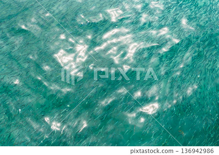 Aerial view of a large small fish swimming in clear turquoise ocean water with sunlight reflections on the surface. Aerial view of a large small fish swimming in clear turquoise ocean water with sunlight reflections on the surface. 136942986